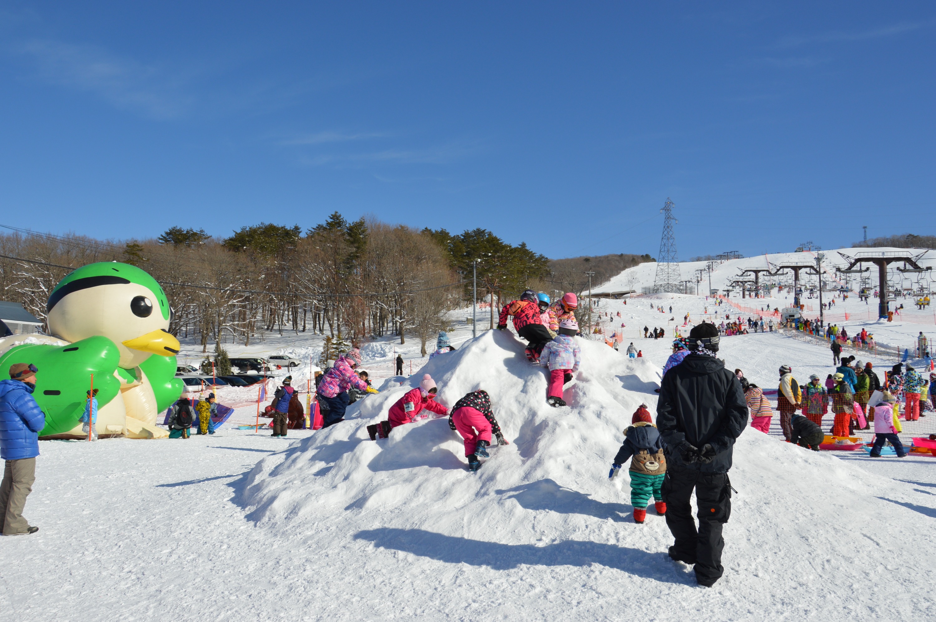 蛭野高原滑雪場一日遊（名古屋出發）