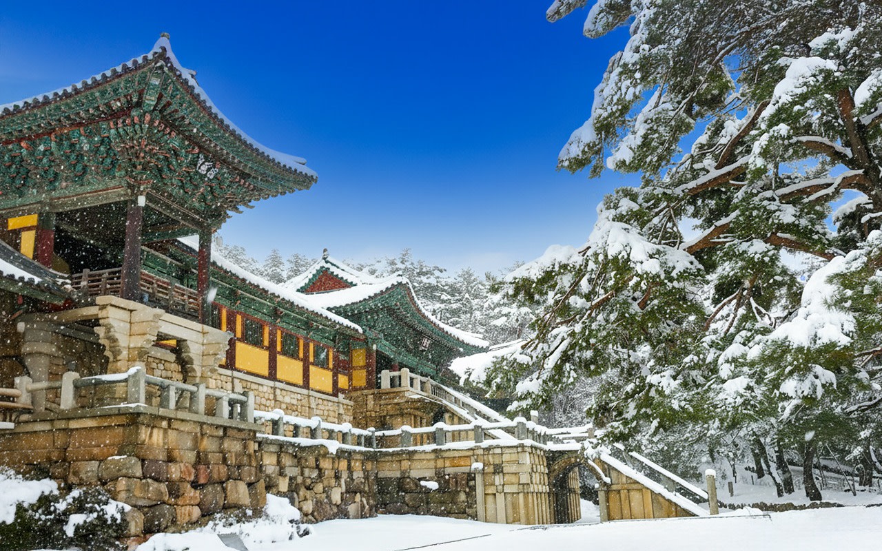 Gyeongju UNESCO Legacy 1-Day Tour from Busan / National Museum