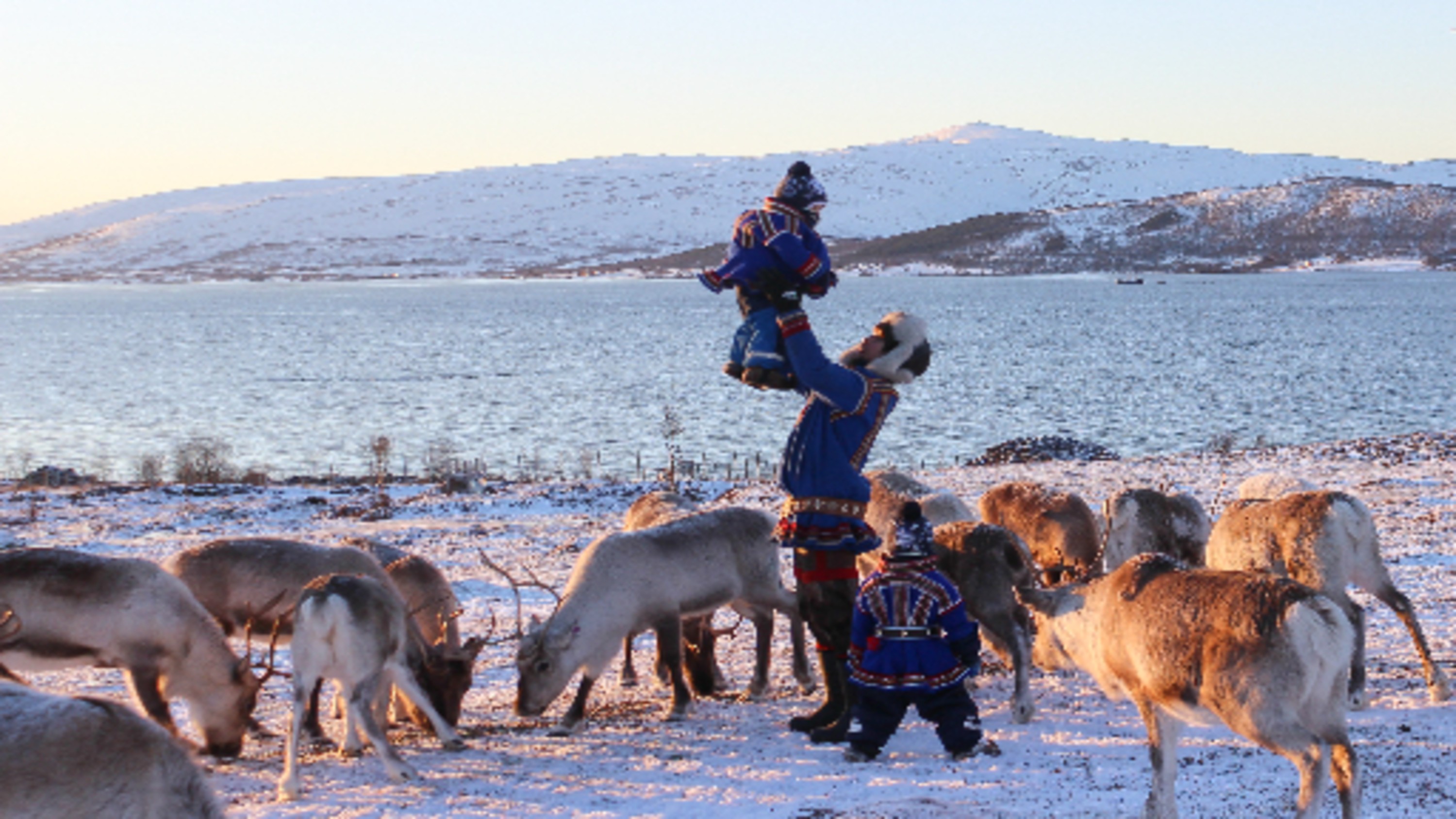 感受薩米家庭的純粹喜悅，以及大自然冬季的溫暖懷抱。
