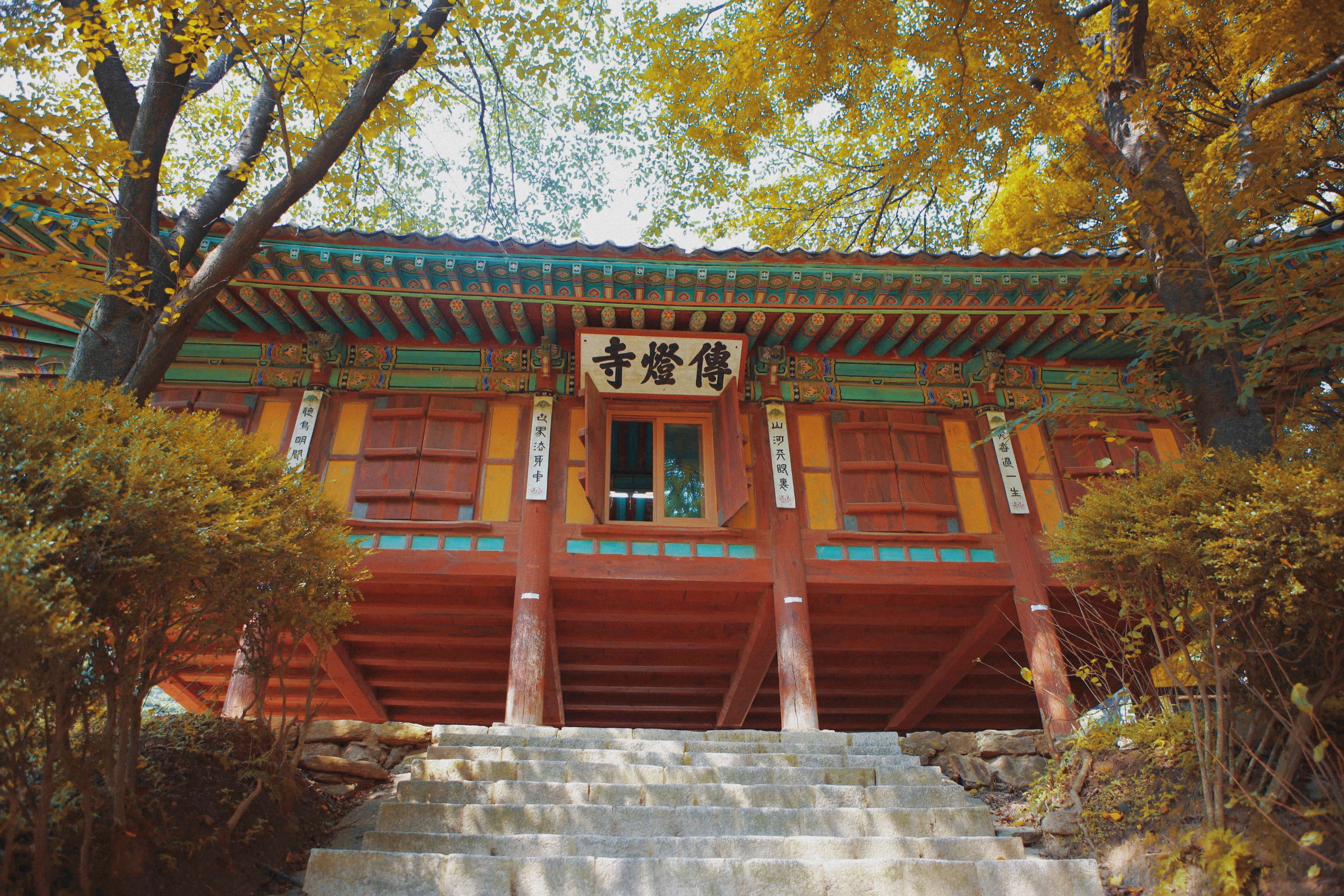 DMZ 非軍事區一日遊（首爾出發）