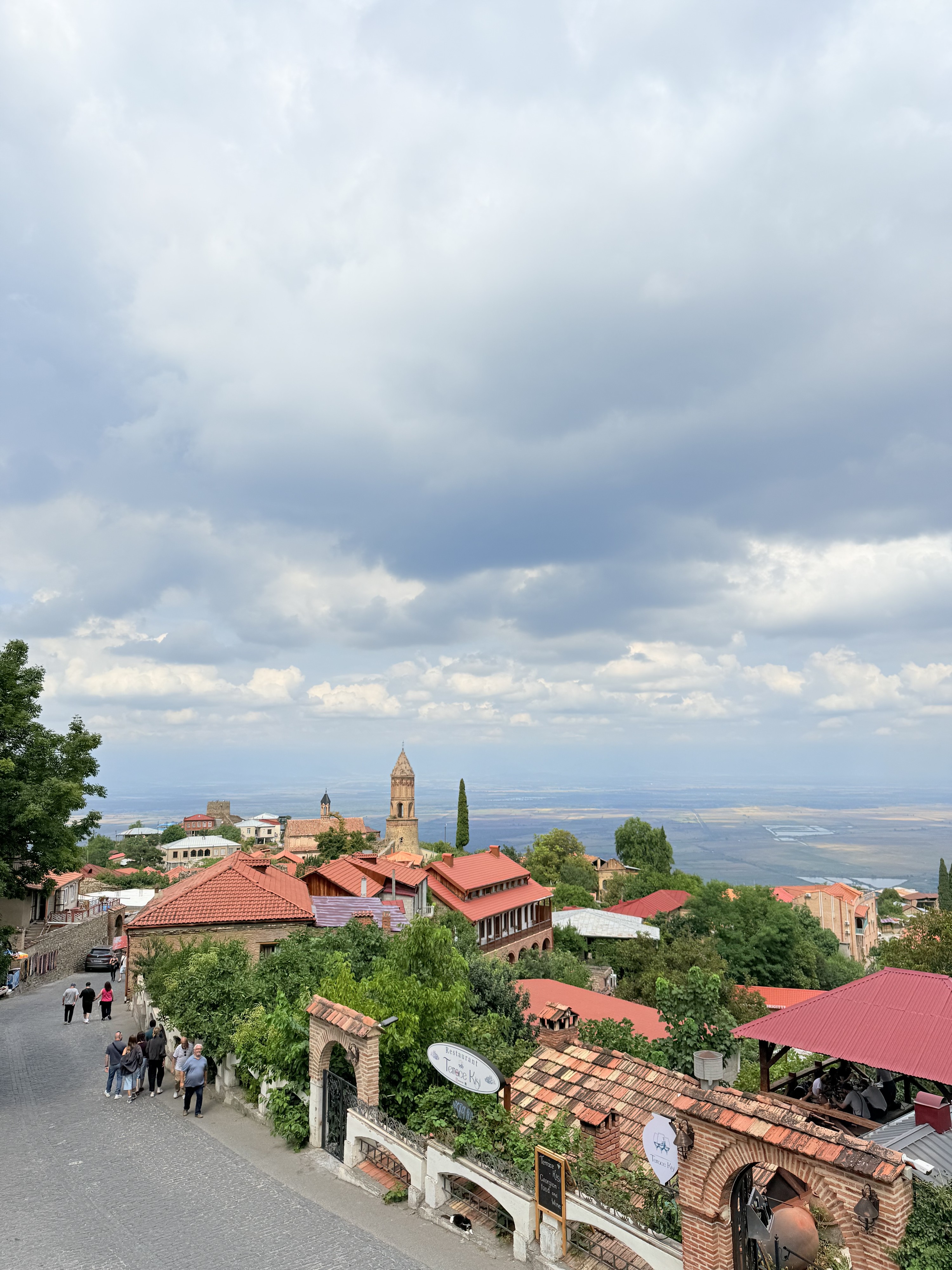 Sighnaghi Wall & Telavi One-day Wine Tasting & Local Food Tour