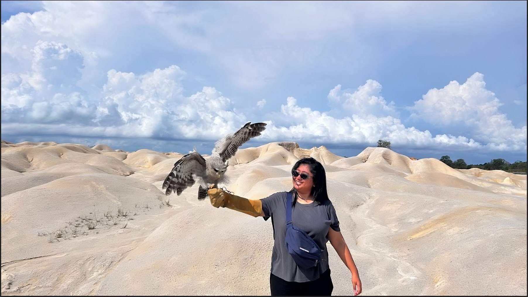 當大自然落在你的手臂上