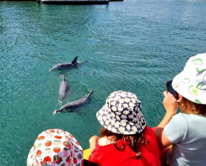 曼哲拉海盜船巡遊