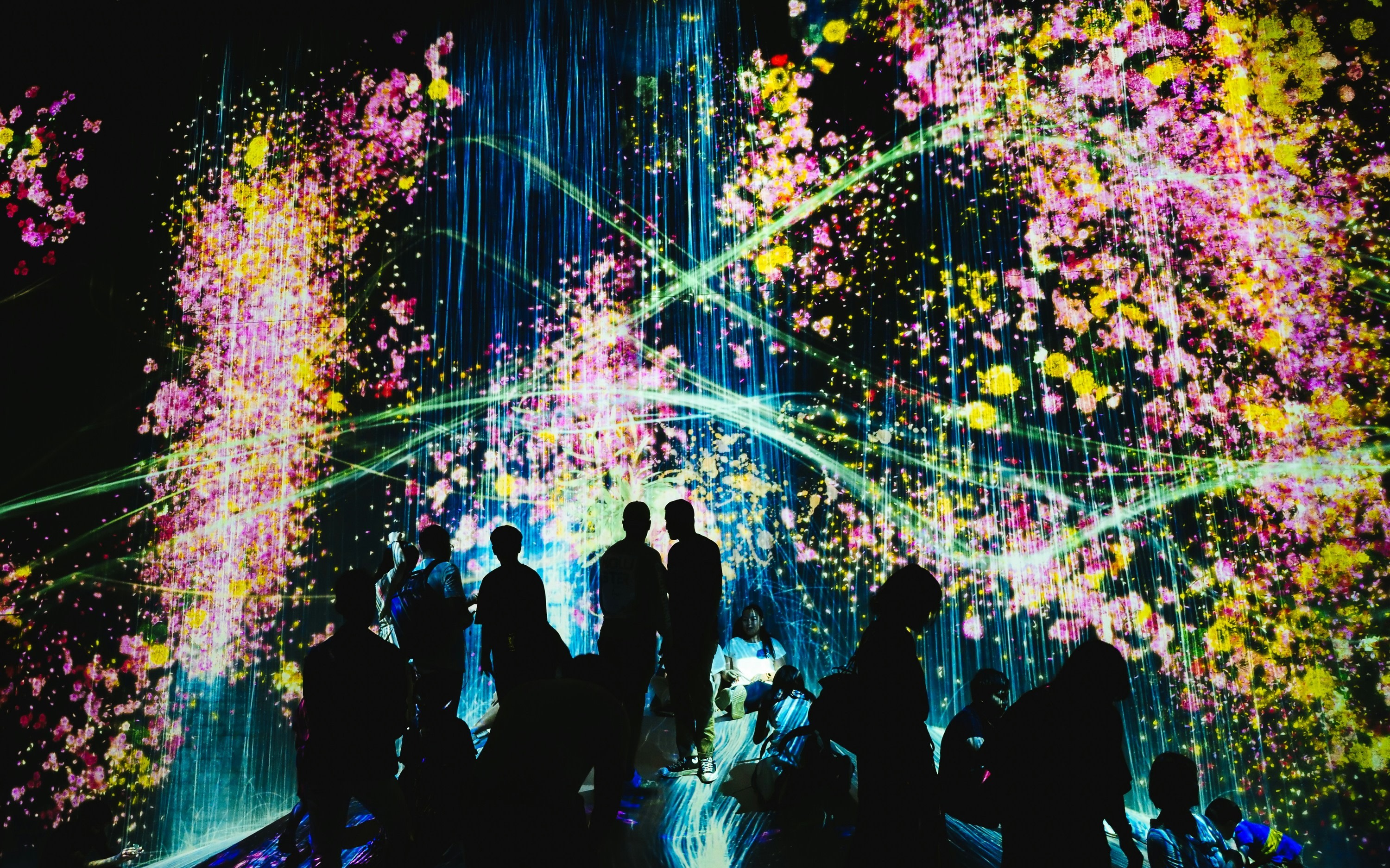Kyoto & TeamLab Biovortex Experience Walking Tour 