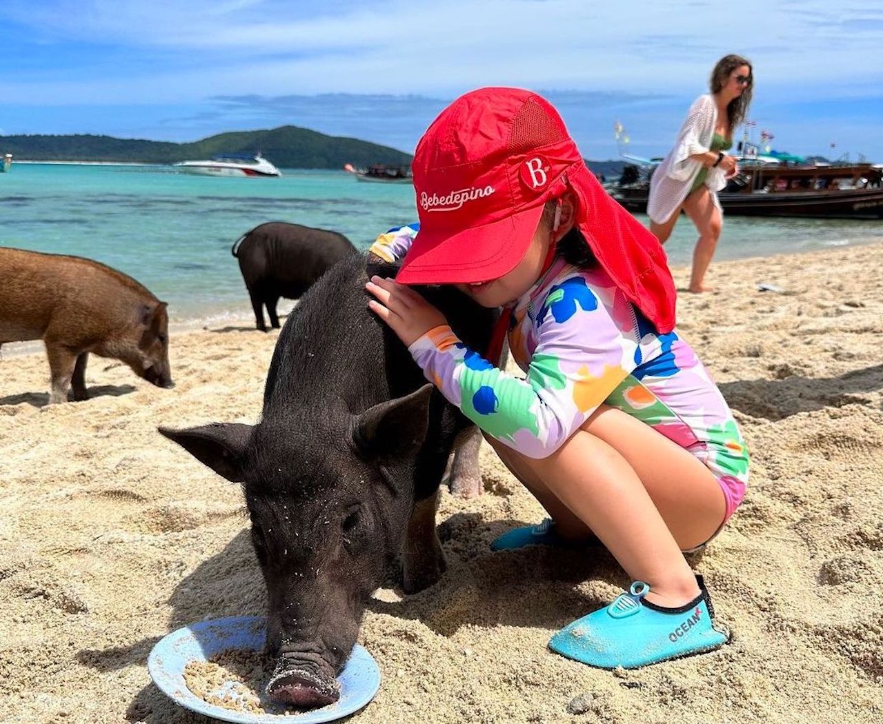 蘇梅島：私人長尾船遊豬島浮潛