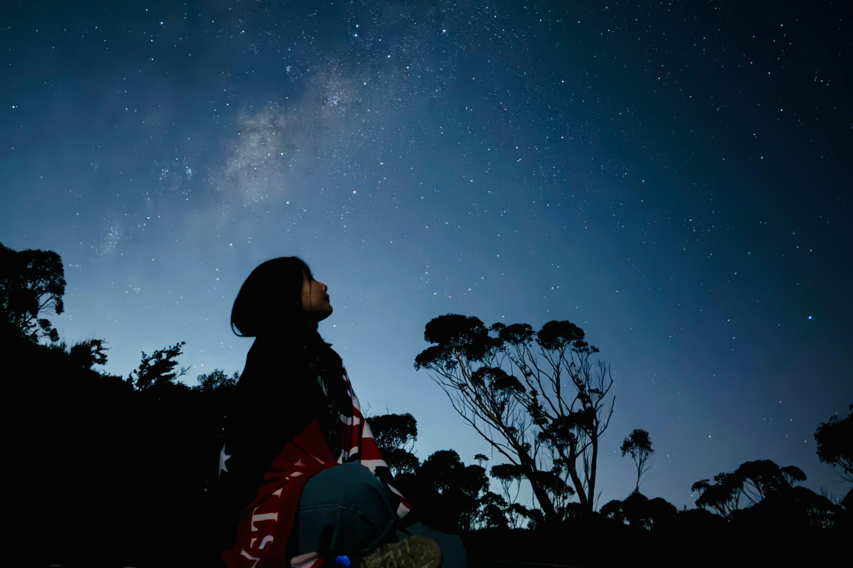 Blue Mountain Sunset & Stargazing Tour with Featherdale Zoo