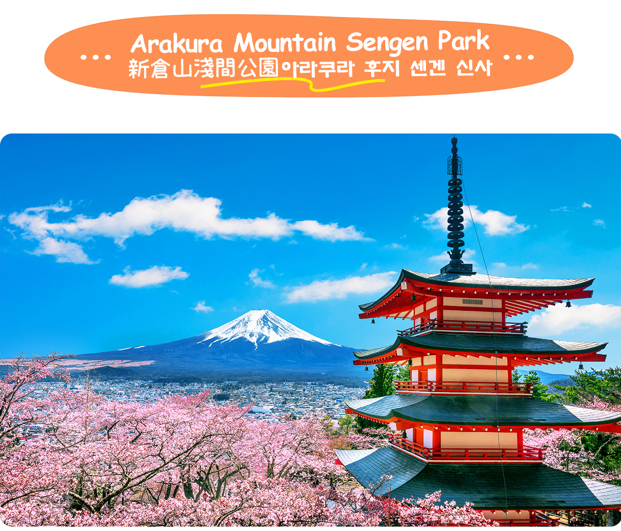 新倉山淺間公園以五重塔與富士山同框的壯麗景緻而聞名,是最經典的打卡地之一。 新倉山淺間公園以五重塔與富士山同框的壯麗景緻而聞名,是最經典的打卡地之一。