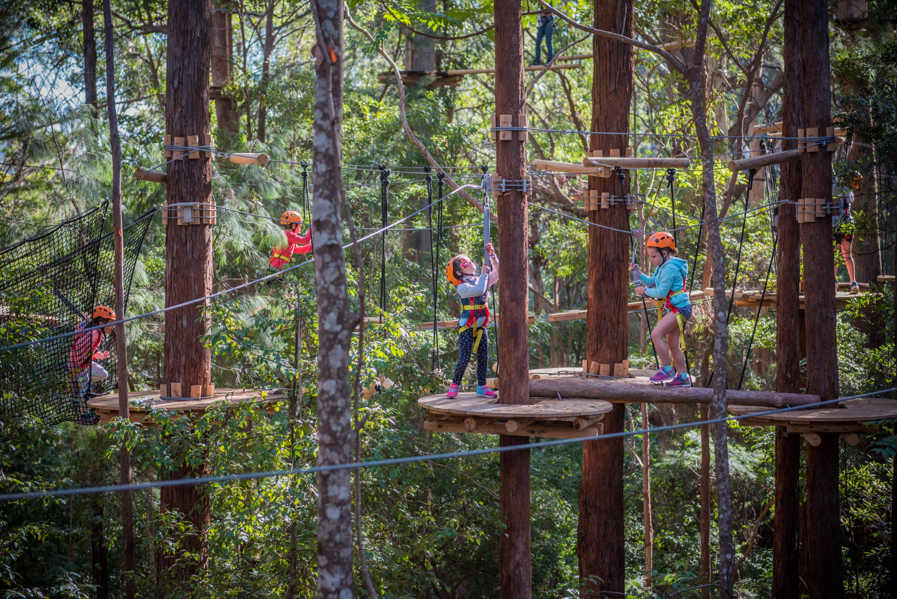 Tree Climbing and Ziplining in Pennant Hills