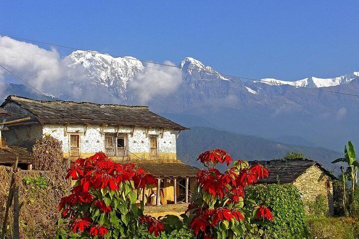 Pokhara: Australian Camp and Dhampus Village Day Hike