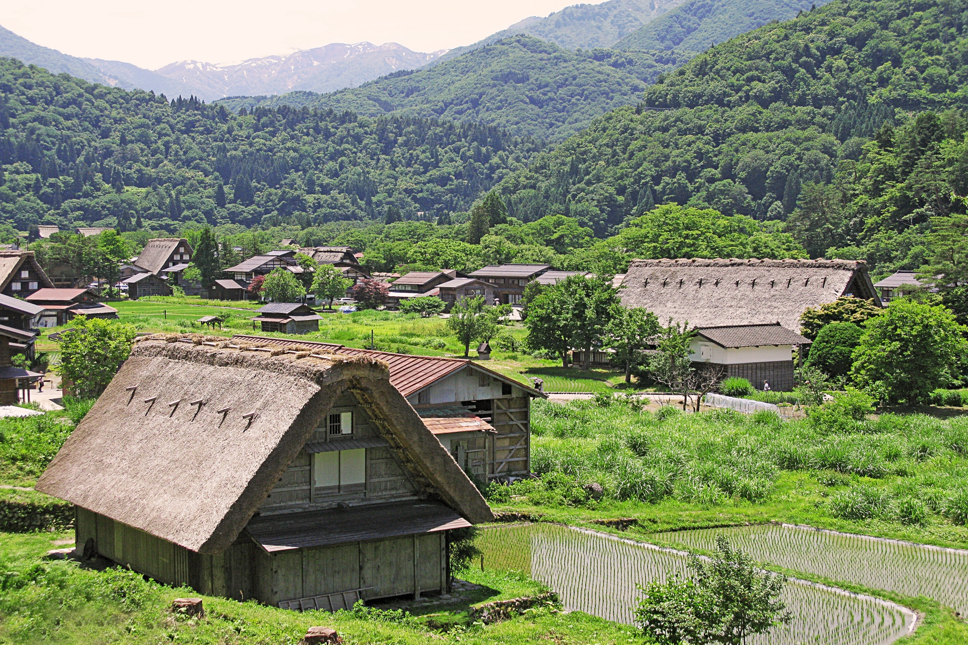 Shirakawago with mountain view and cherry blossoms