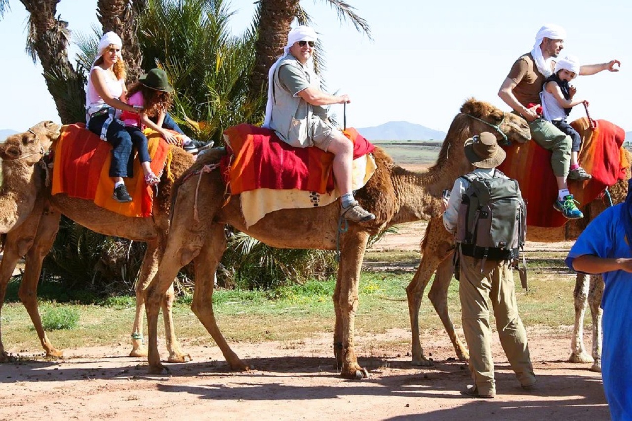 Quad Biking and Camel Ride from Marrakech