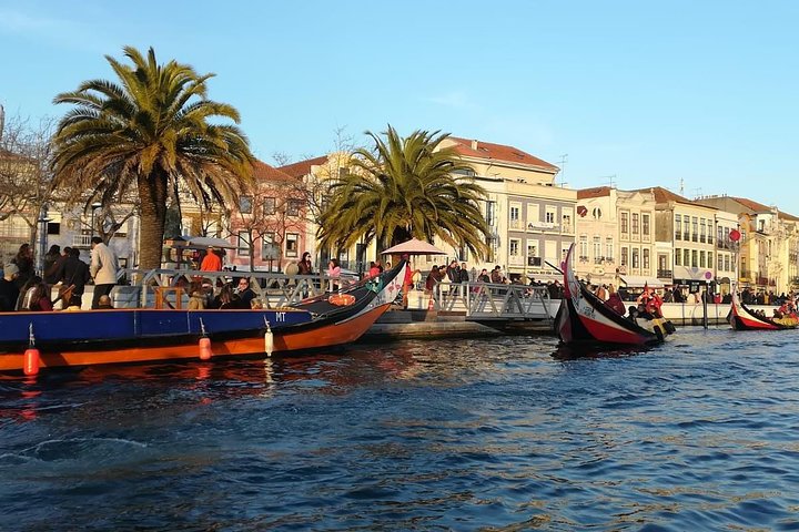Porto Aveiro & Coimbra Full-Day Tour with River Cruise