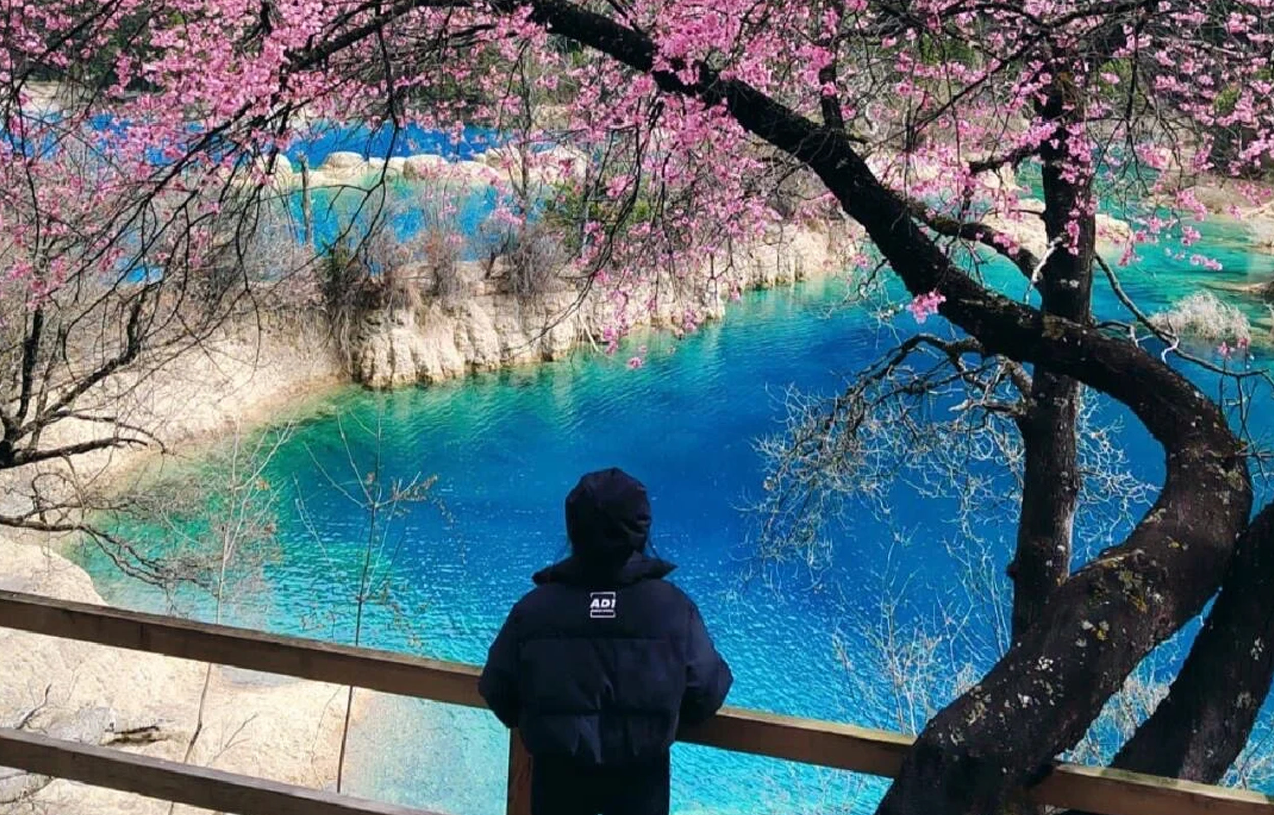 Jiuzhaigou National Park Day Tour