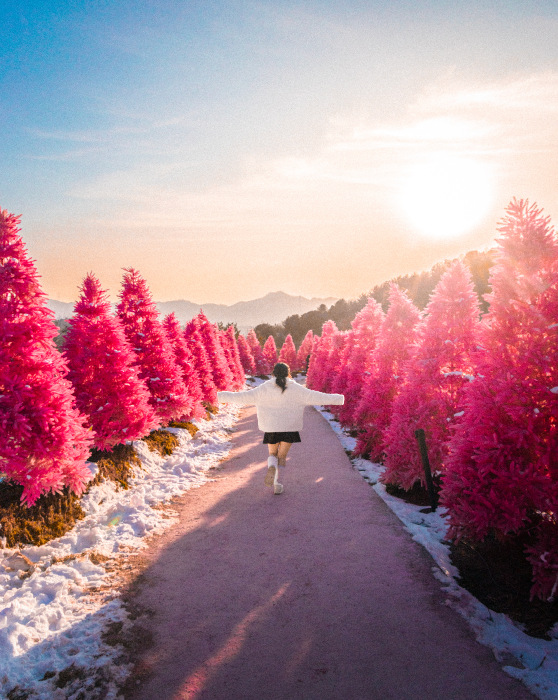 在色彩繽紛的花徑中漫步，盡情探索聖誕老人村和香草博物館，還能享受療癒的芳香療法或手作體驗，徹底放鬆身心。