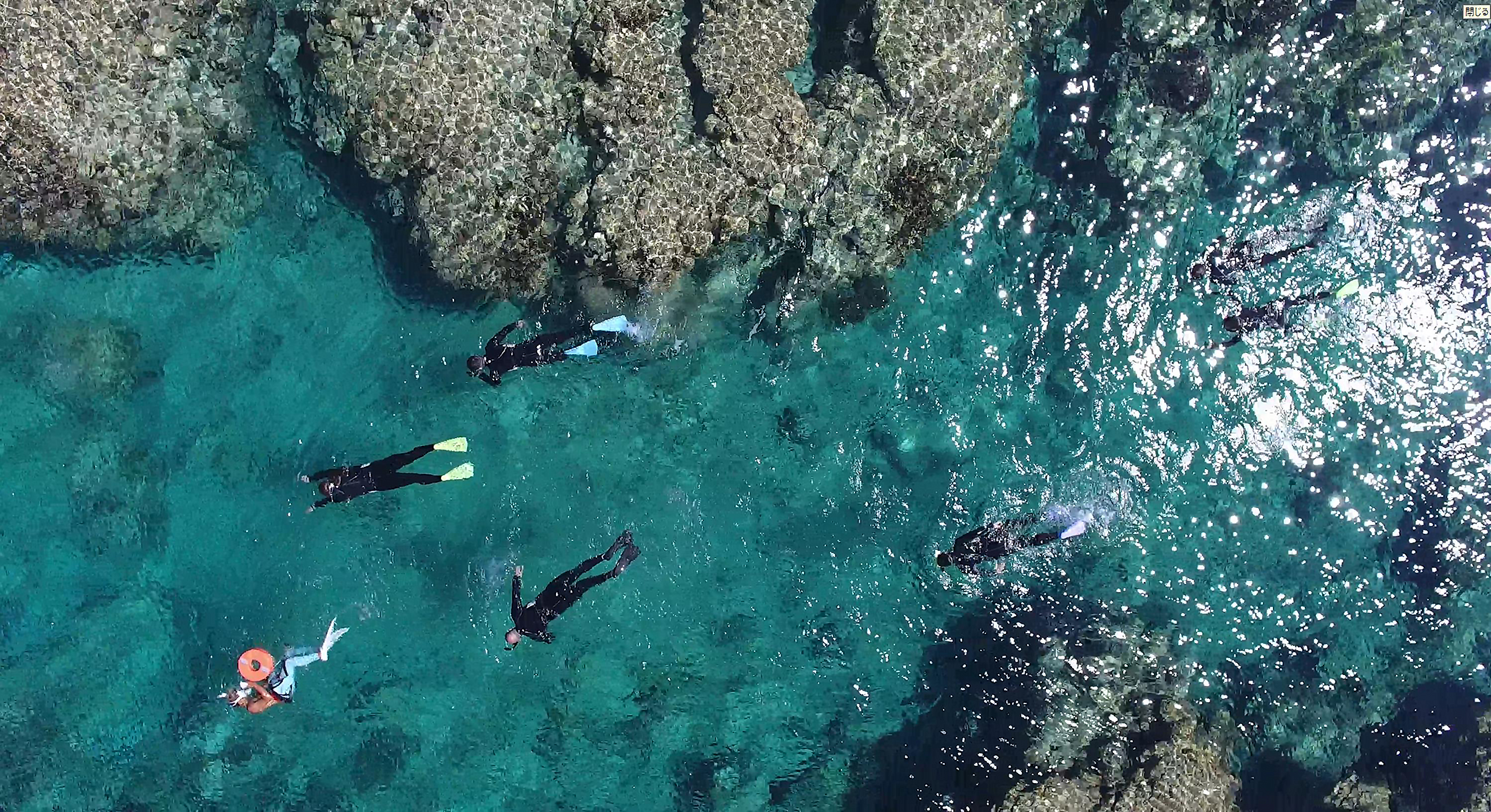 沖繩 沖繩慶良間阿嘉島浮潛體驗 Live Japan 日本旅遊 文化體驗導覽