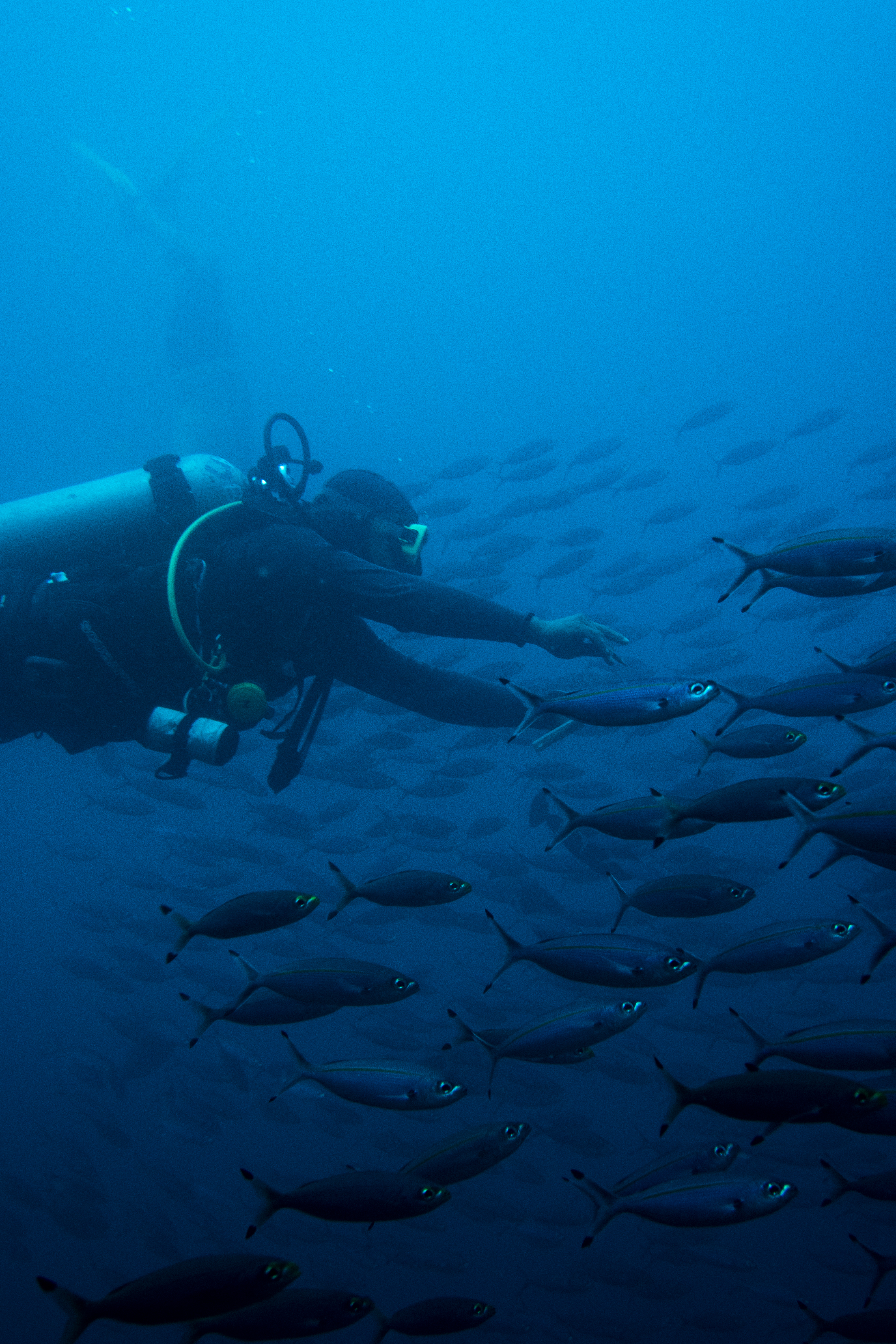 PADIアドバンスドオープンウォーターダイビング（バリ島南部 / PADI 5 Star Center提供）