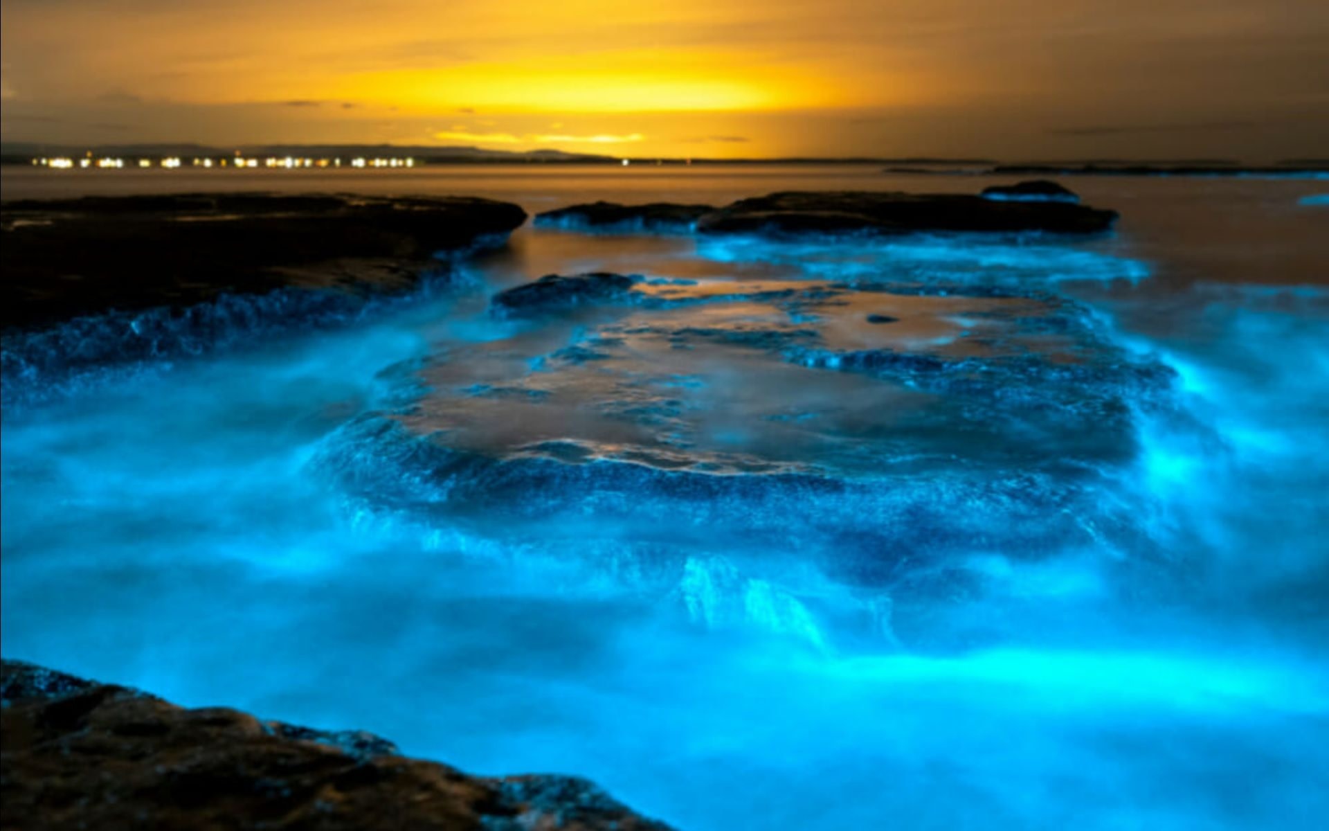 Bioluminescence Clear Kayak & Paddle Board Tour in Merritt Island