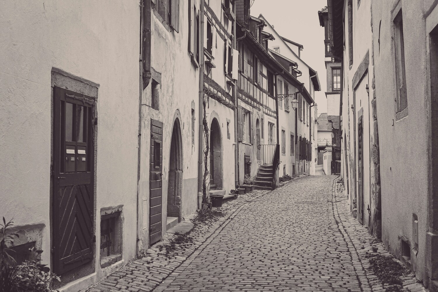 Strasbourg, Colmar, Eguisheim, Riquewihr: Private Tour