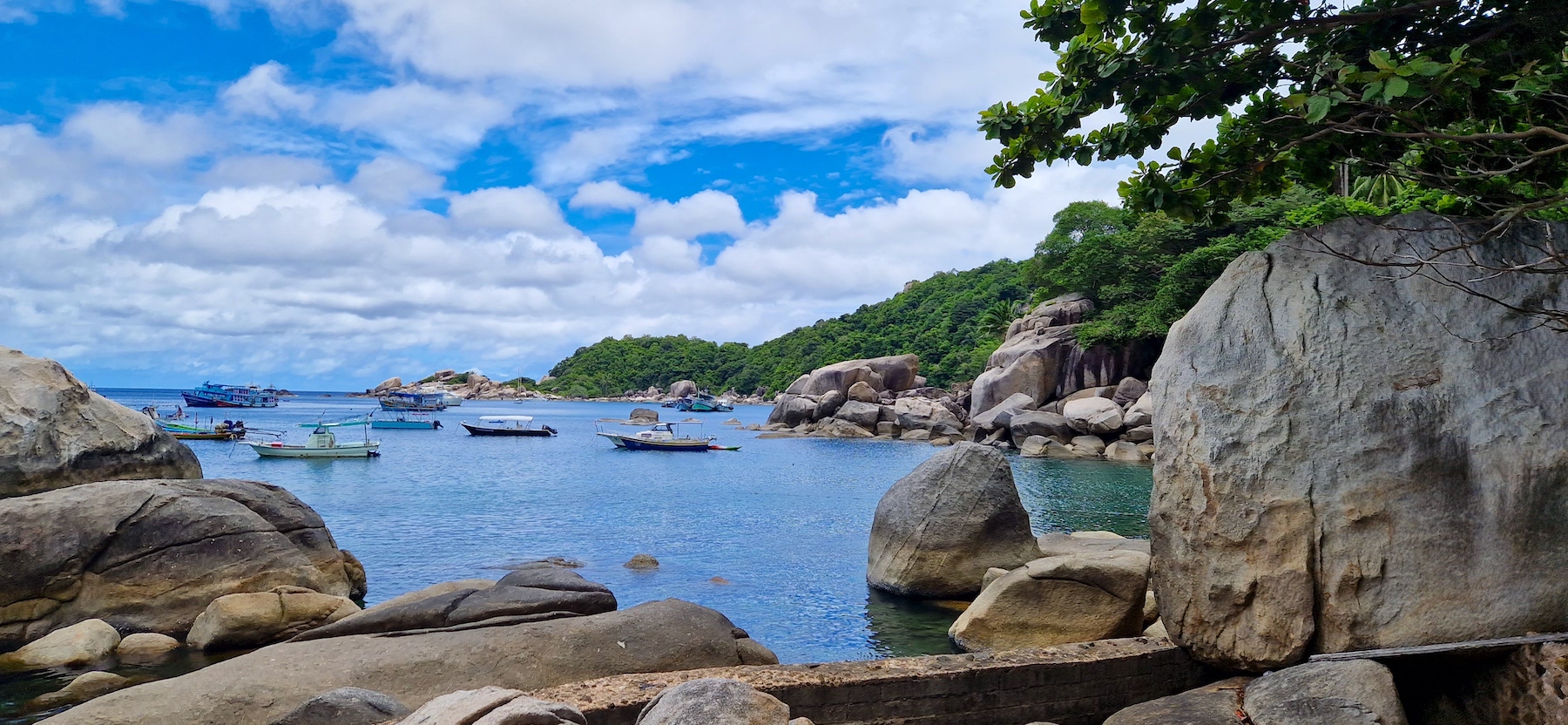 濤島：私人長尾浮潛之旅，含Nang Yuan遊覽