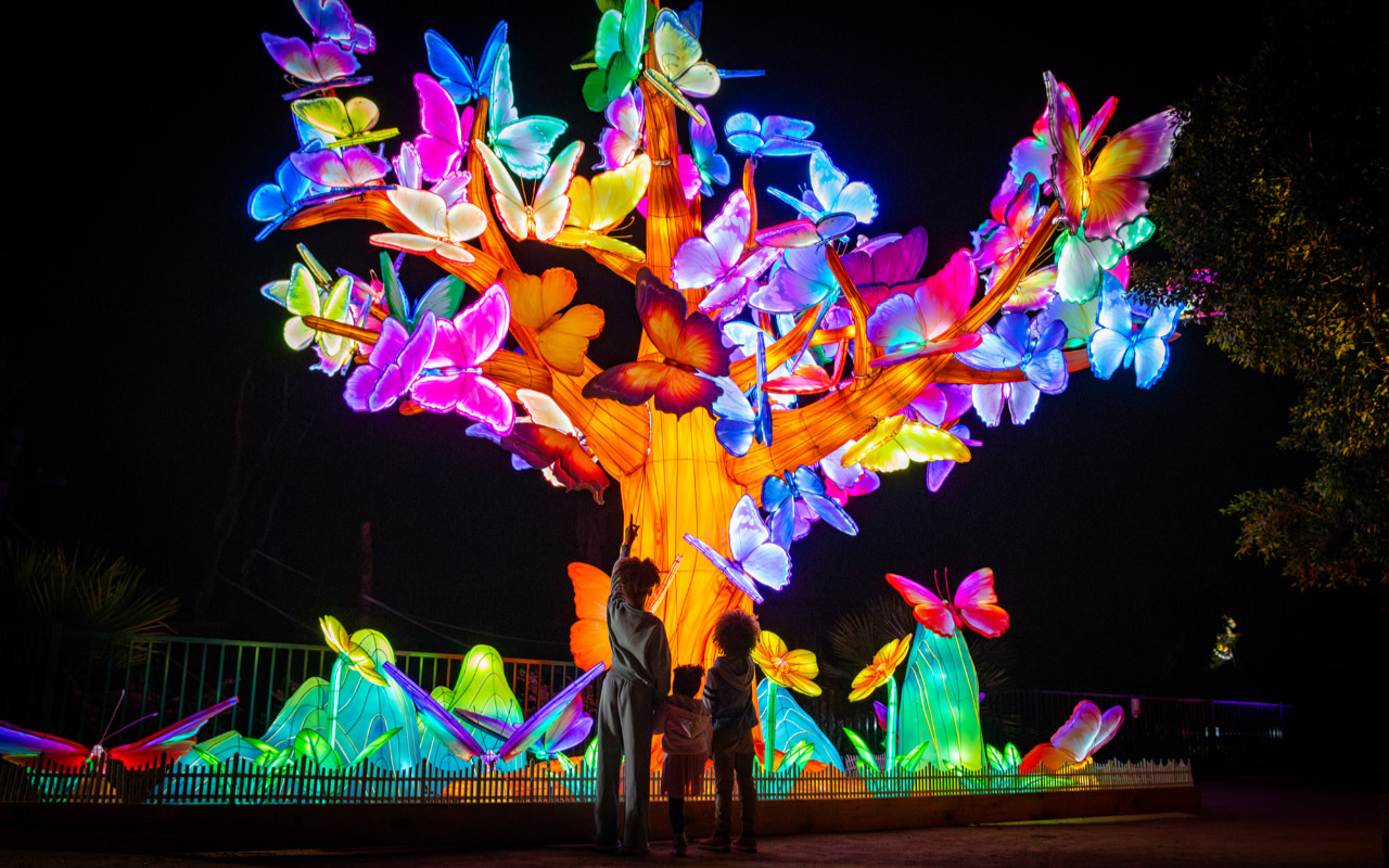 GLOW Ticket at Sydney Zoo