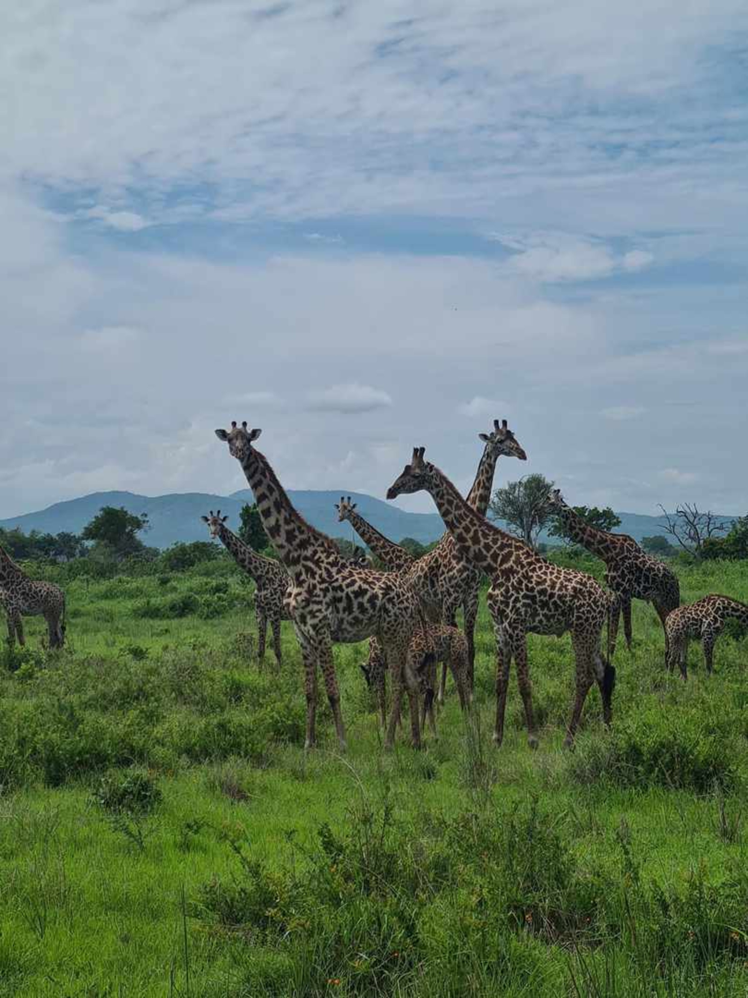 Arusha National Park Day Trip