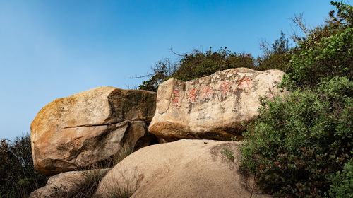 东澳岛