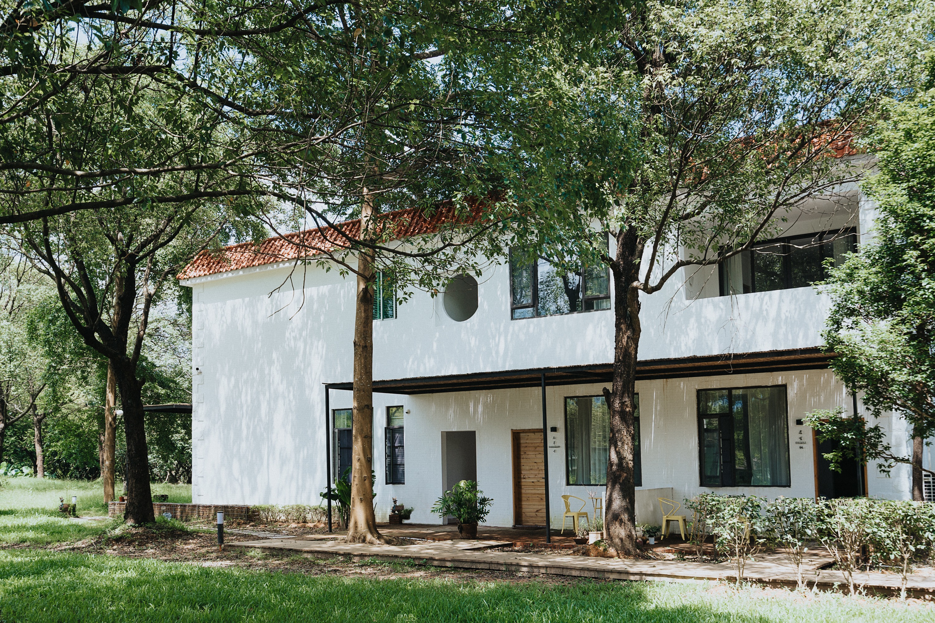 Look up and see the sunlight shining through the leaves. It is the beauty captured by the camera.