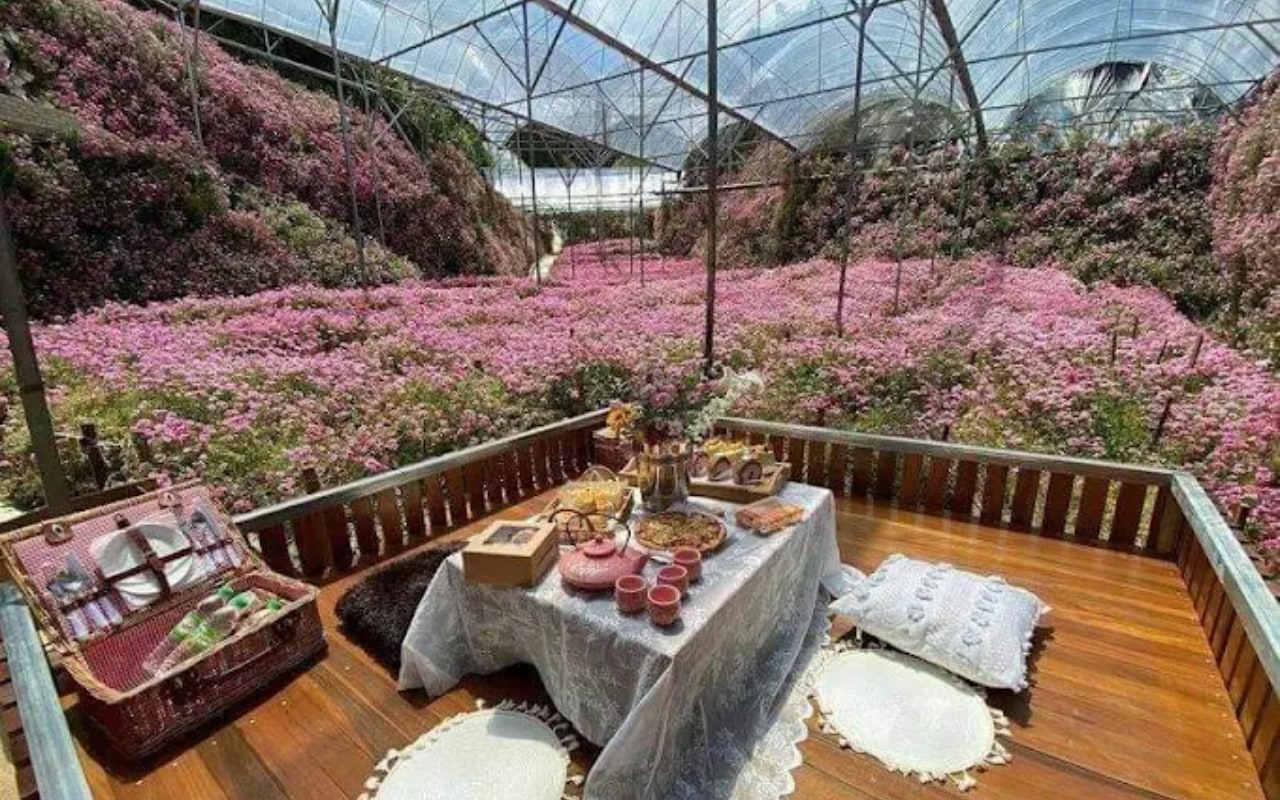 Cameron Highland From Kuala Lumpur