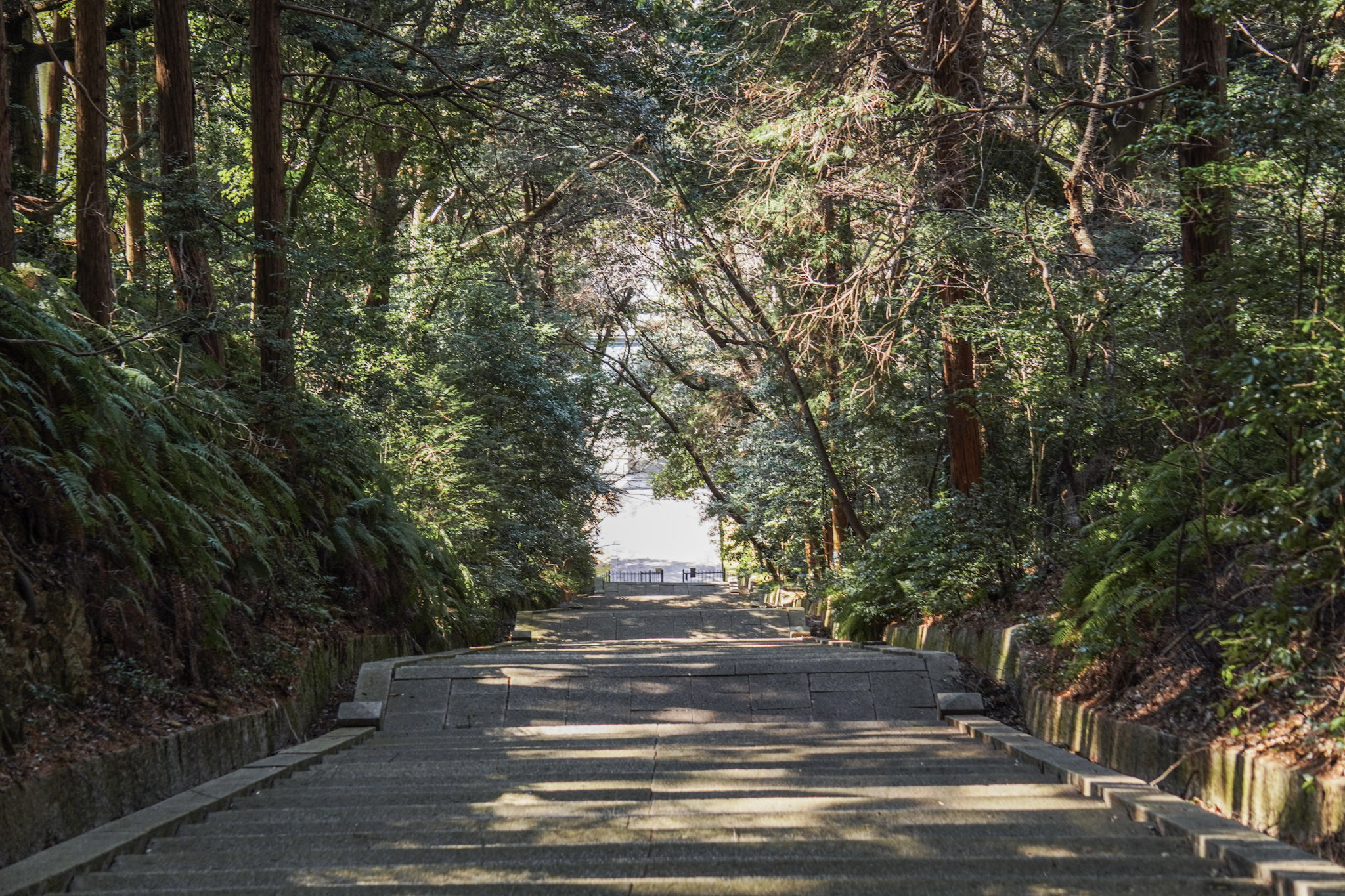 京都空中漫步：清水寺視角下的阿彌陀山遠足