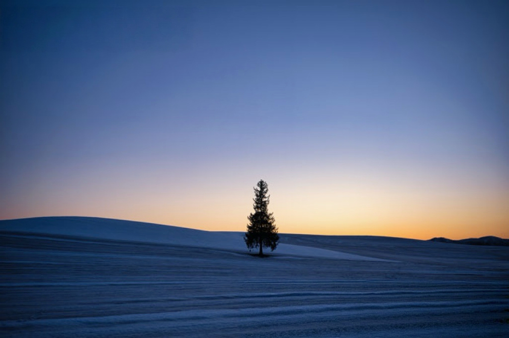C方案-無論春夏秋冬，都以不同的姿態點綴在遼闊的大地上，冬季被白雪包圍的模樣，宛如童話世界般夢幻