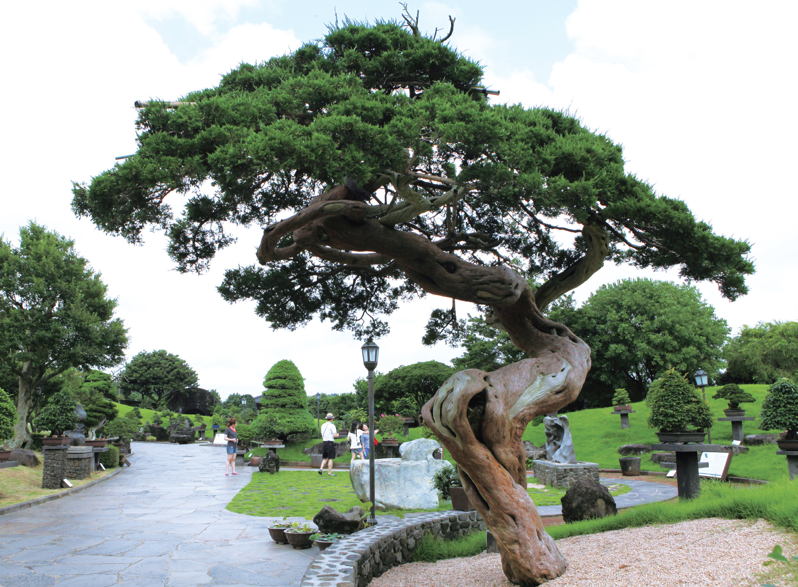 濟州島精神花園門票