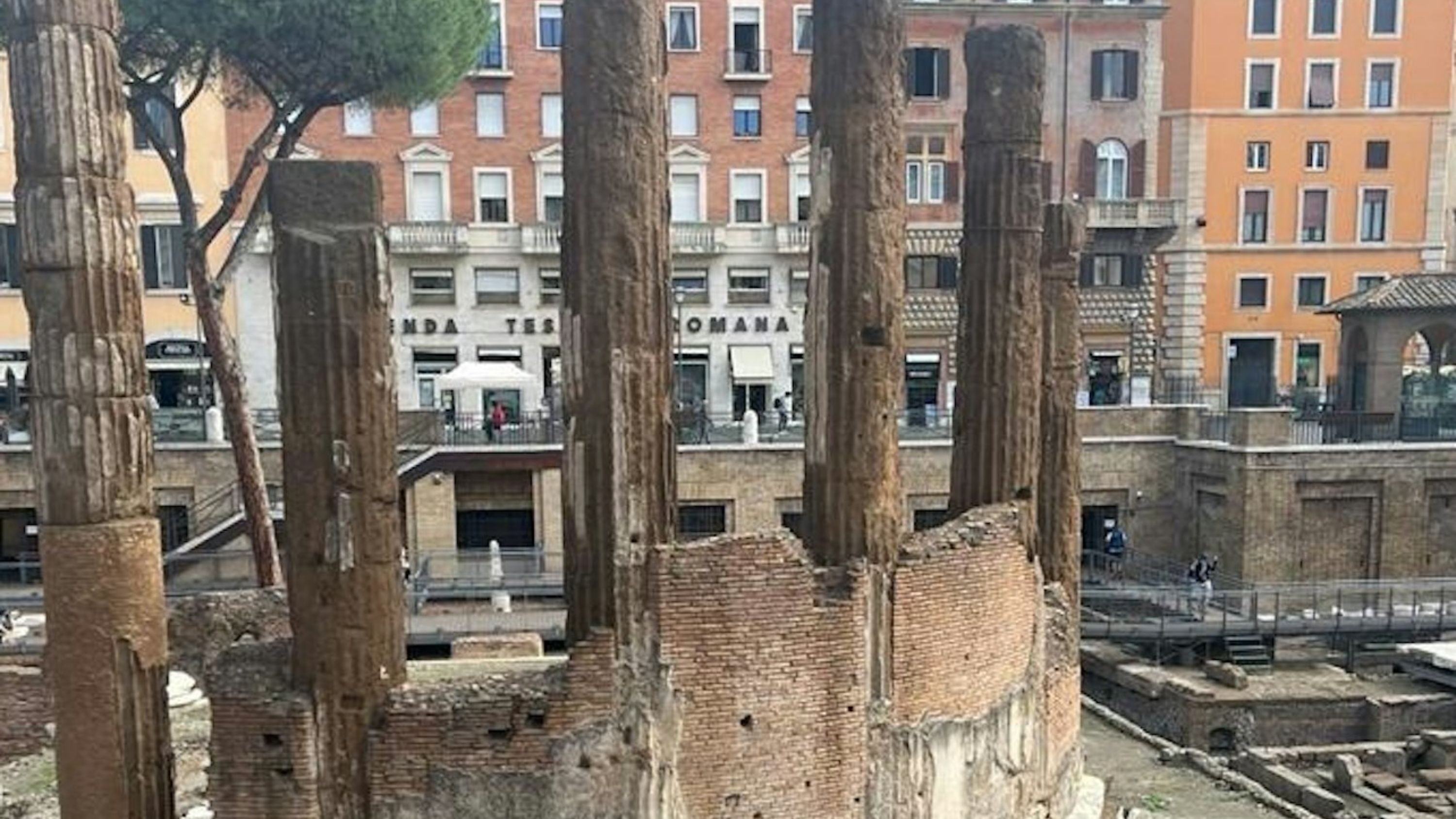 羅馬阿根廷廣場考古區 (Archeological Area Largo Argentina)