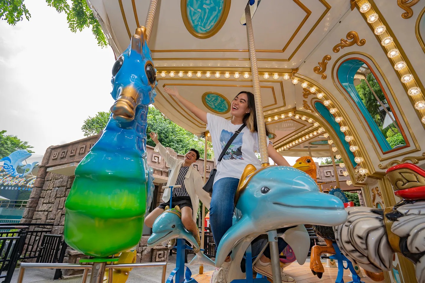 乘坐經典旋轉木馬，上面有可愛的海洋動物，如海豚和海馬