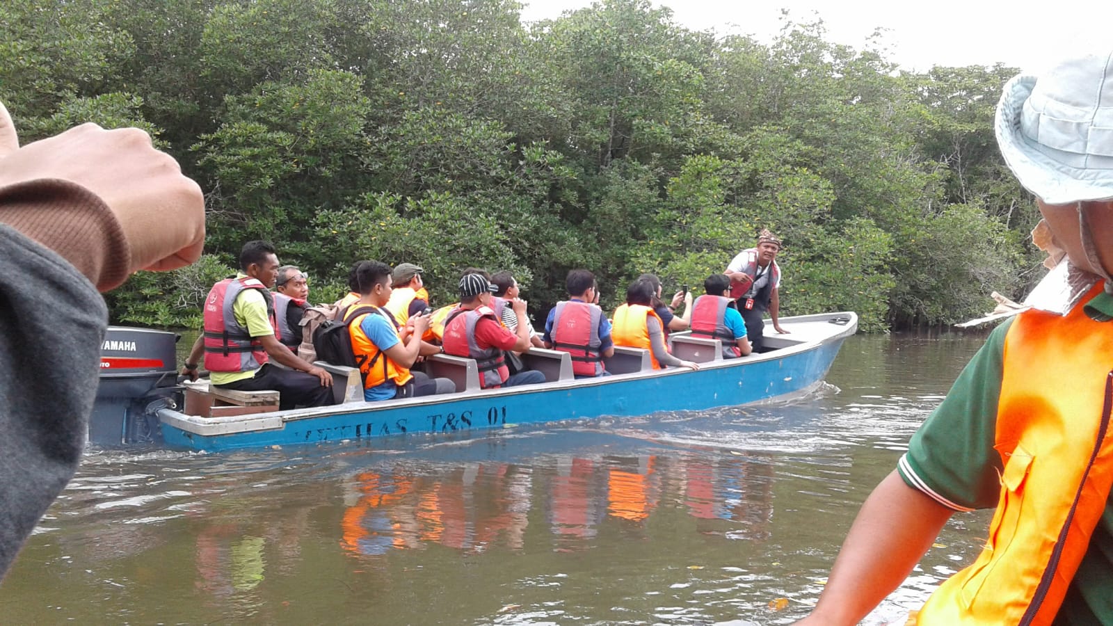 Journey Into The Forest From Bintan