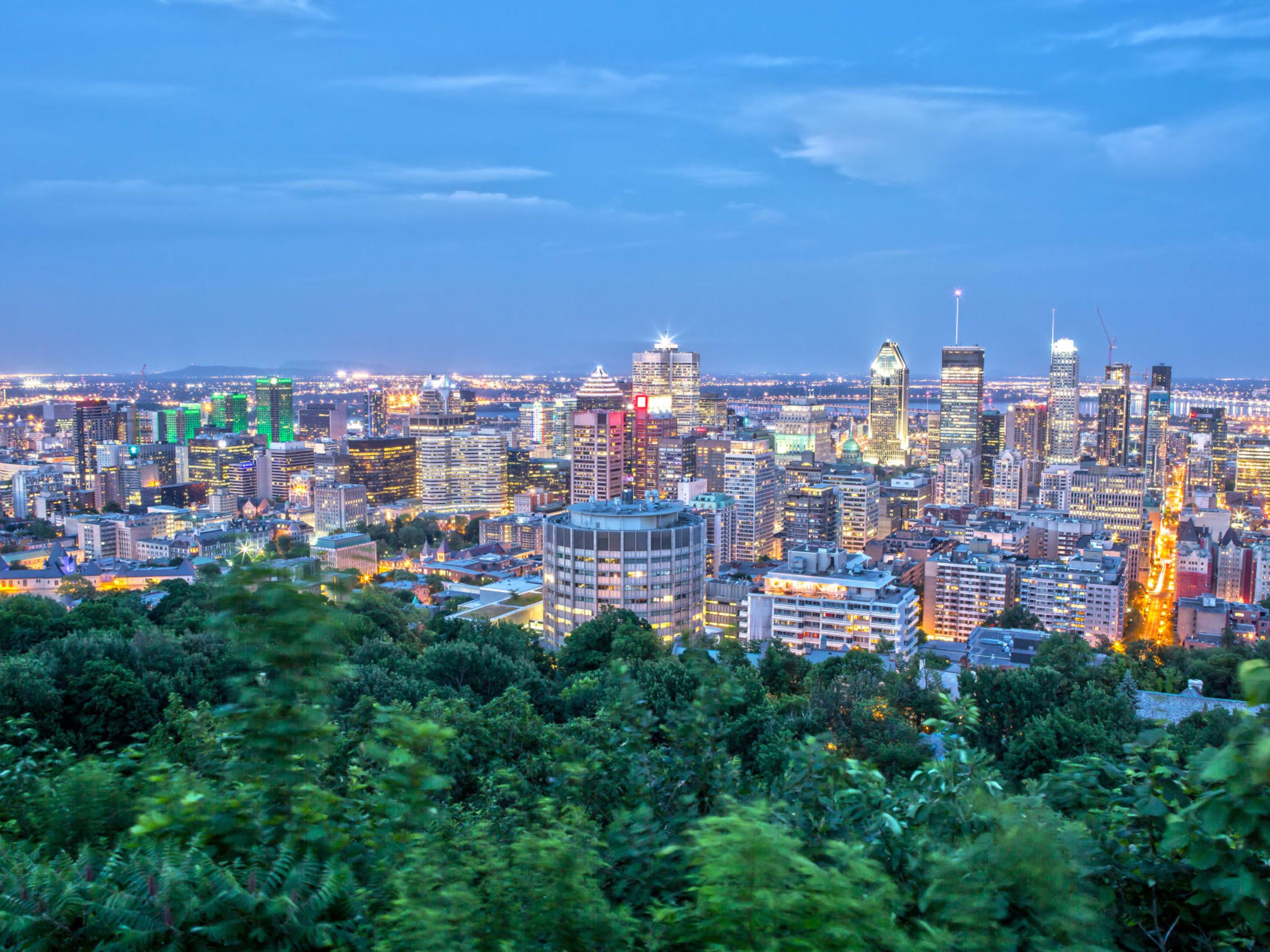 See the city light up under the cover of the night sky