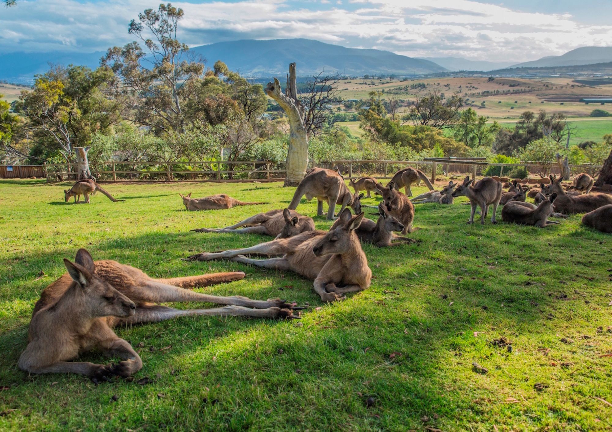 4 Day Bundle - Hobart, Port Arthur, Bruny, Hastings and Tahune