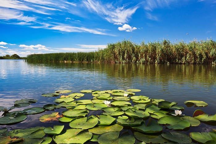 Tulcea Danube Delta Full-Day National Park Tour