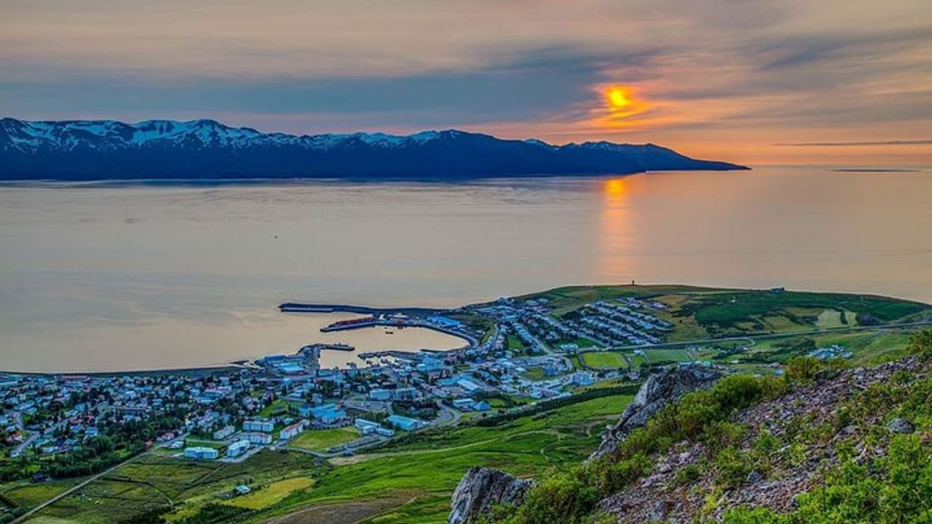 Discover Husavik’s marine wonders and capture stunning sights of grand whales