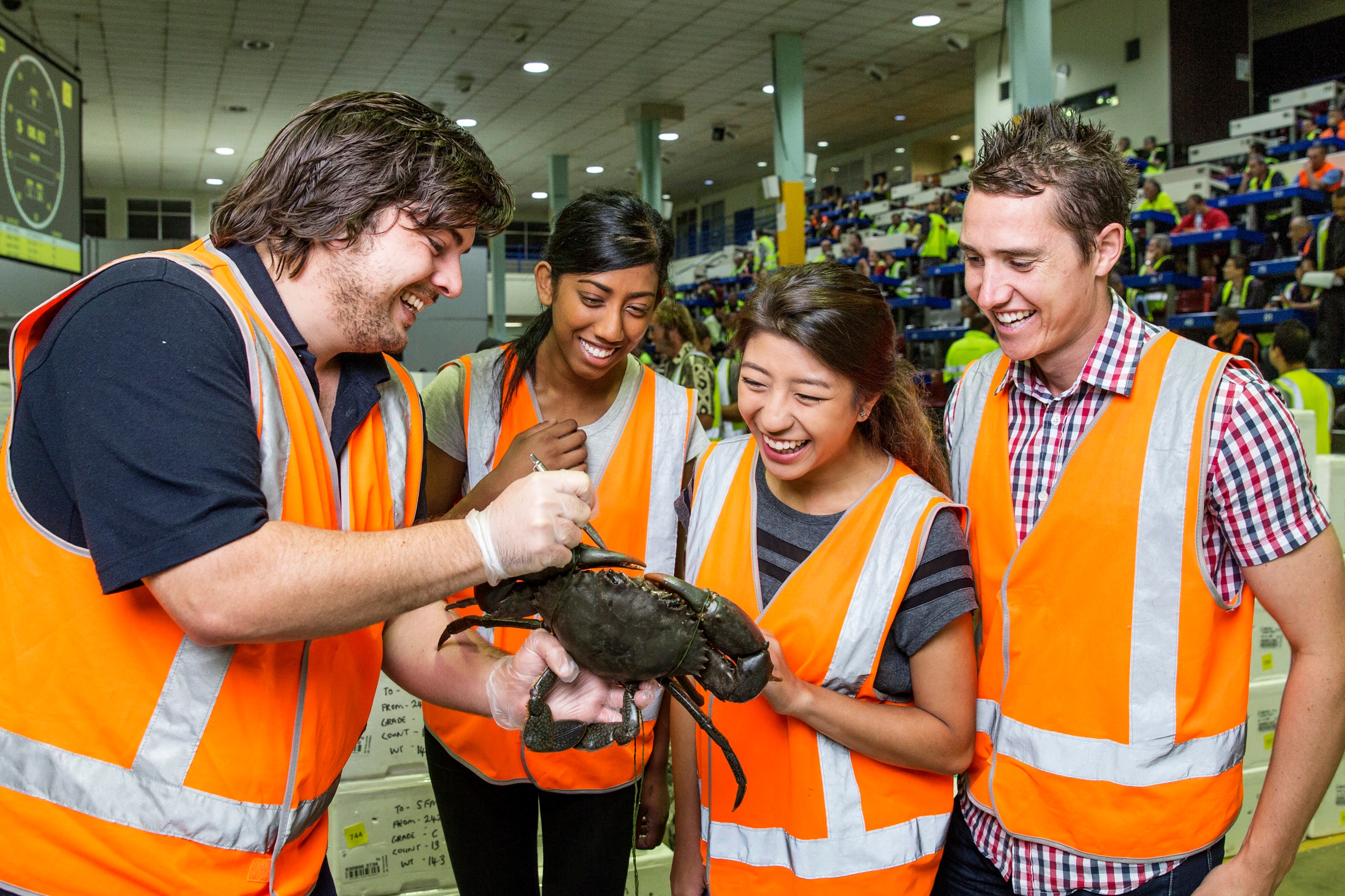 Sydney Fish Market Half-Day Small Group Discovery Tour