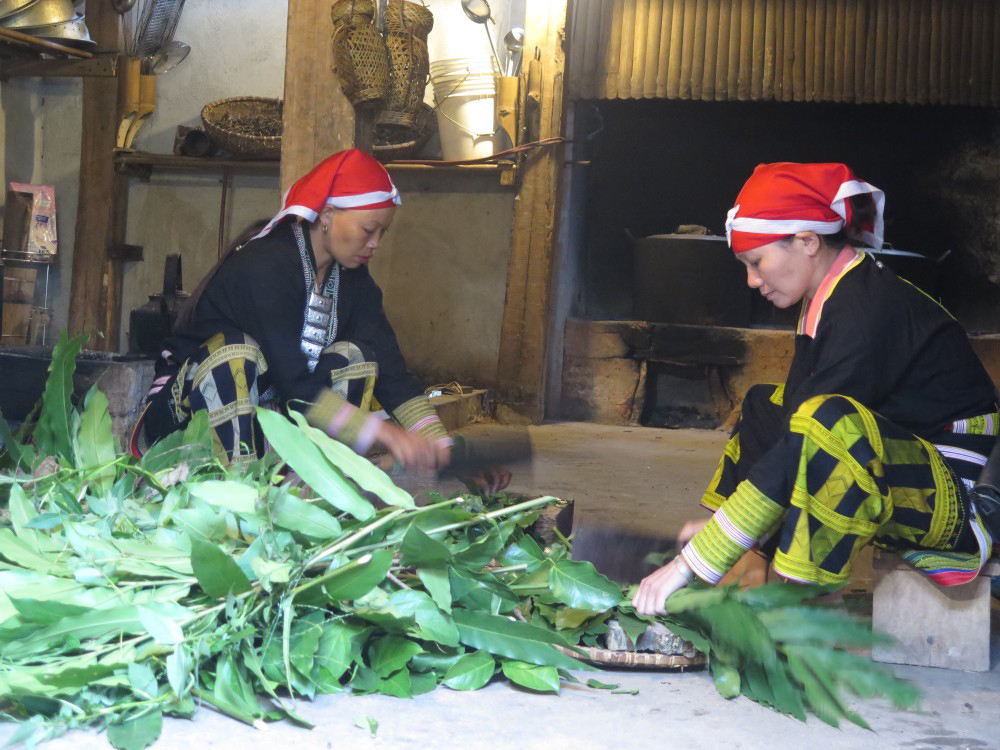沙巴：紅瑤族草藥足浴和採葉之旅