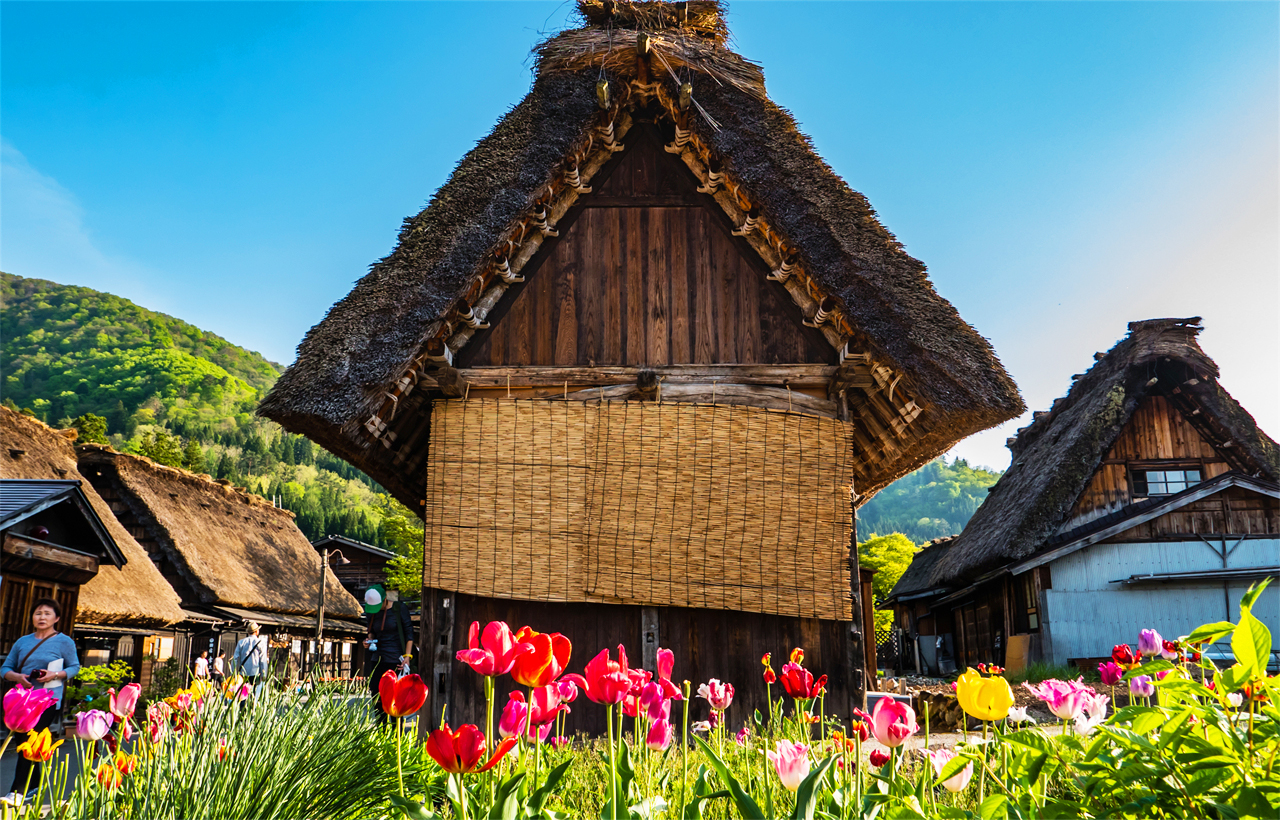 飛驒高山&白川鄉合掌村落&宮川朝市&古街漫步