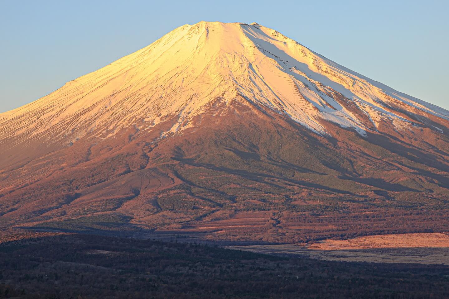 富士山賞花熱門打卡一日遊｜五合目&忍野八海&新倉山公園&日川時計店&河口湖大石公園&御殿場奧特萊斯（多線路可選）