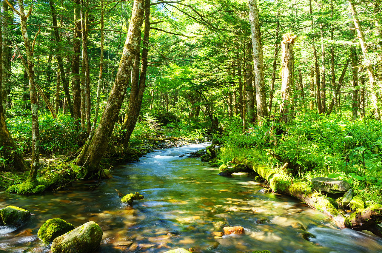 [One-day tour in Kamikochi from Nagoya] Encounter the scenery of Japan's "Jiuzhaigou", step on the Kappa Bridge, and overlook the mountains and the sacred pond