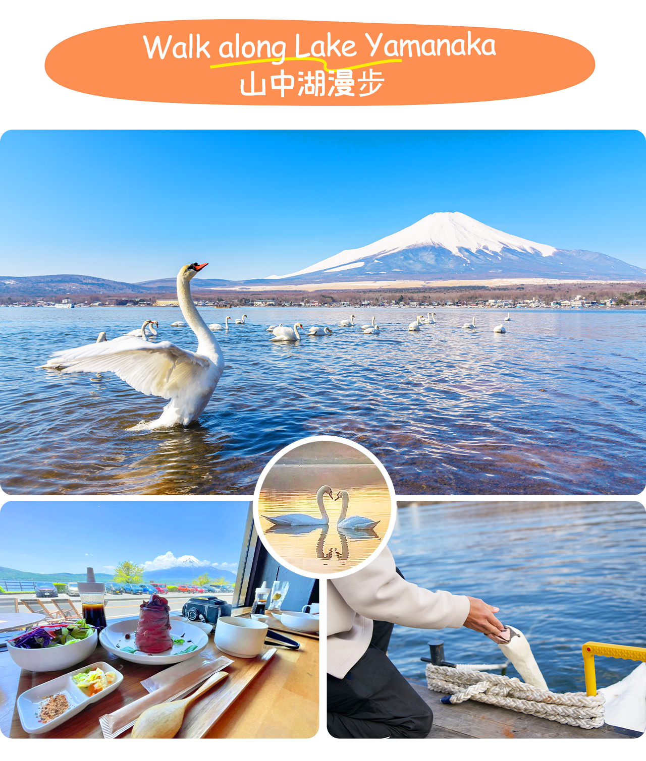 沿山中湖畔漫步,賞四季湖景與富士山倒影,感受寧靜自然與悠閒氛圍交織的詩意時光 沿山中湖畔漫步,賞四季湖景與富士山倒影,感受寧靜自然與悠閒氛圍交織的詩意時光