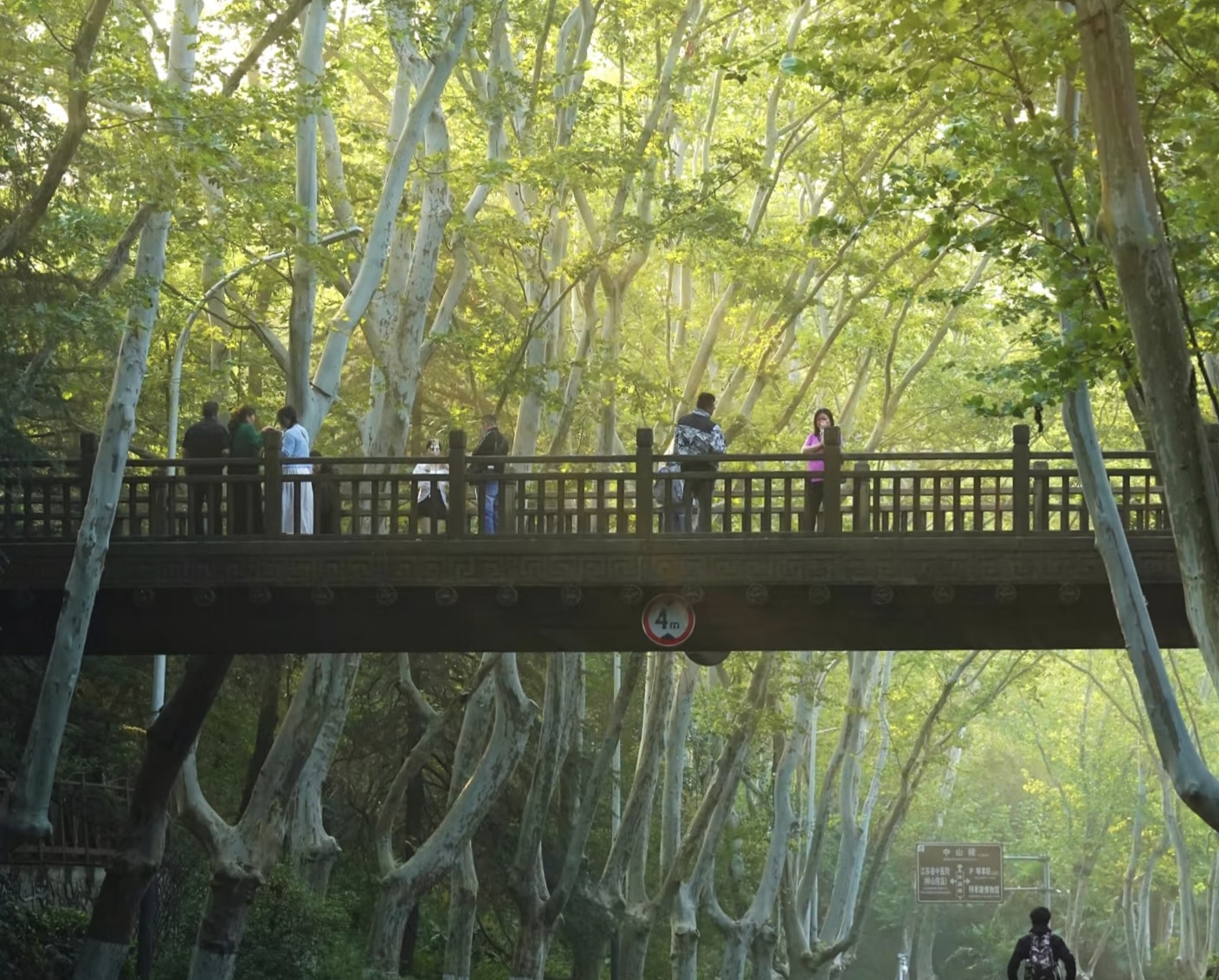 斑駁石牆前,“門東” 二字的書法題筆蒼勁有力,紅磚砌成的麵包窯與環形灶臺帶著復古市井氣,綠植藤蔓順著牆根悄然生長 斑駁石牆前,“門東” 二字的書法題筆蒼勁有力,紅磚砌成的麵包窯與環形灶臺帶著復古市井氣,綠植藤蔓順著牆根悄然生長