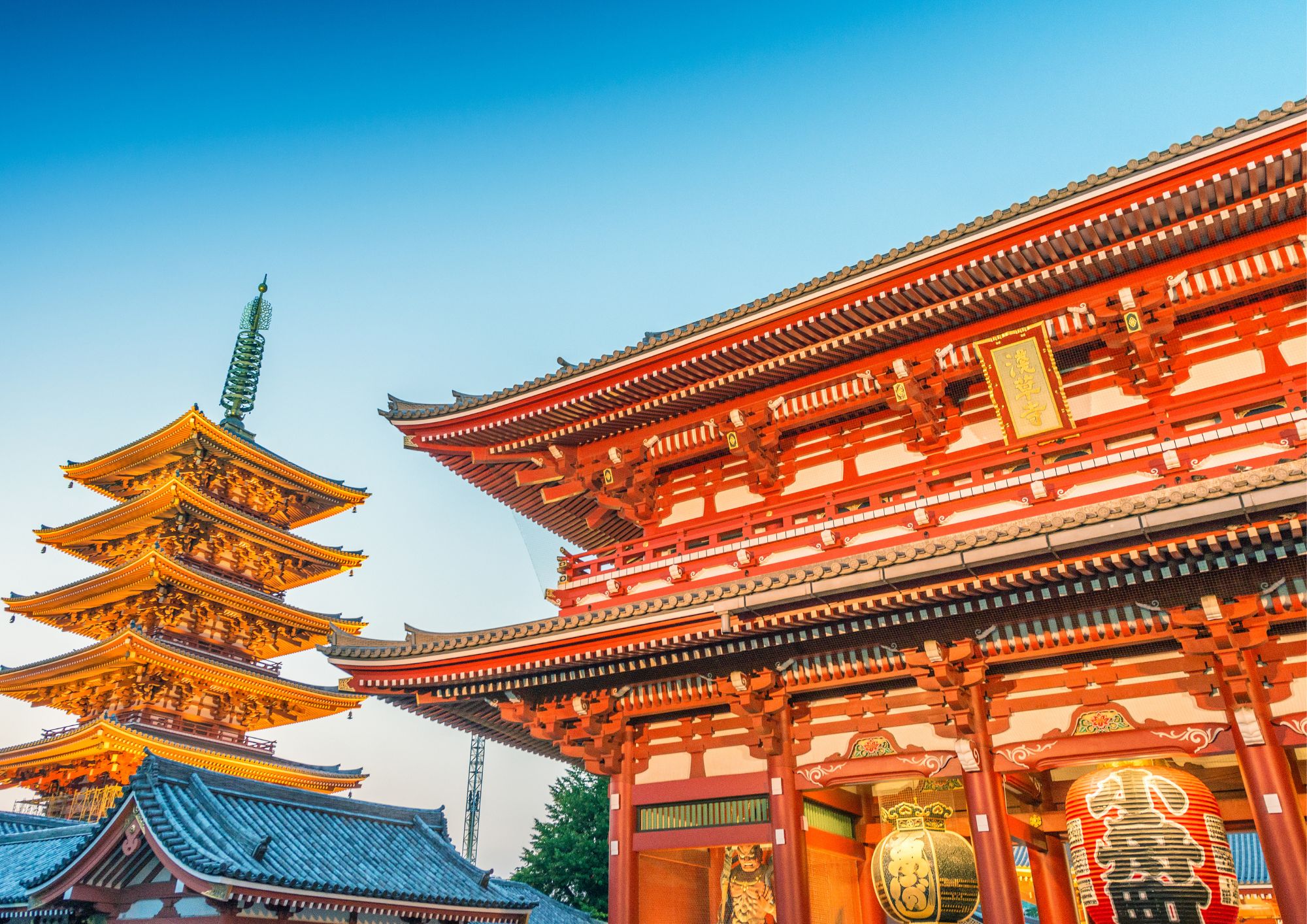 Matcha Making Tokyo | Cooking class in Japan