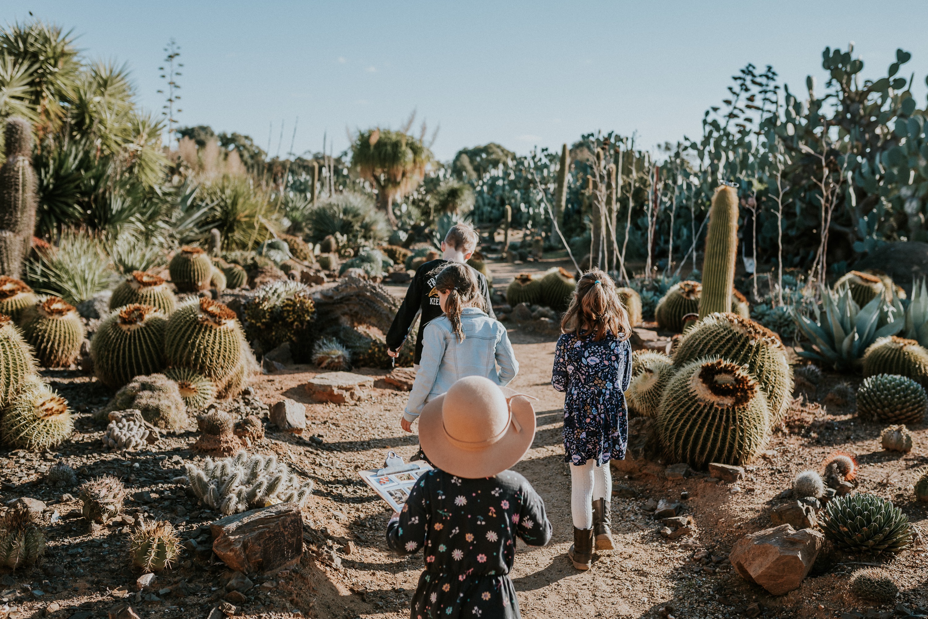 墨爾本 Cactus Country 仙人掌花園門票