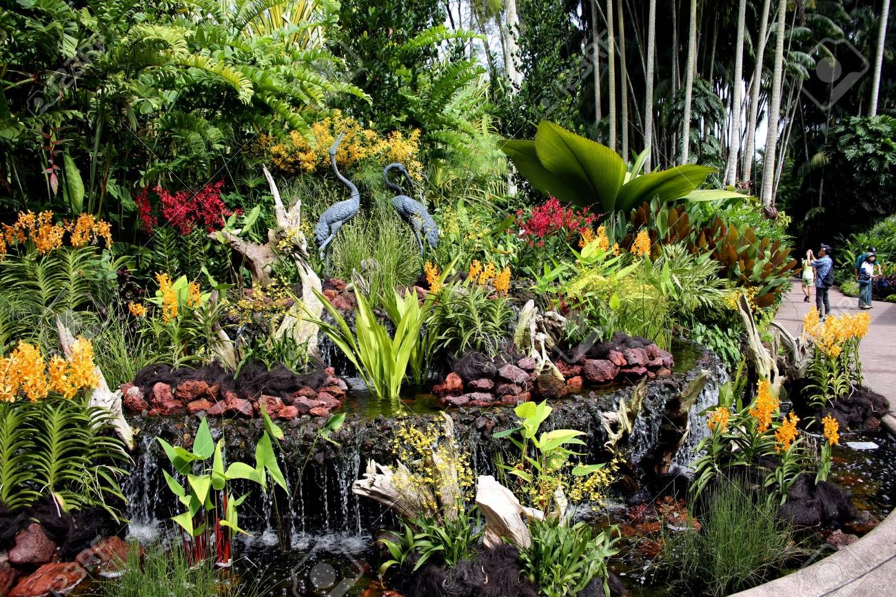新加坡國家蘭花園 (National Orchid Garden Singapore)