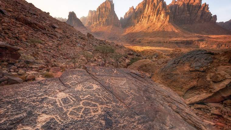 Al-Disah Valley One-Day Adventure with Nabataean Gate Exploration