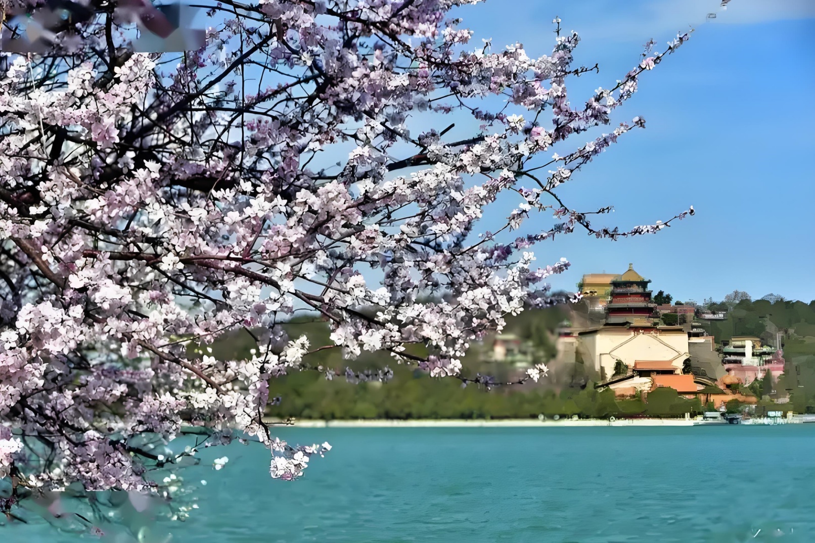 北京頤和園半日遊（乘船探秘慈禧水道 + 英文深度講解）